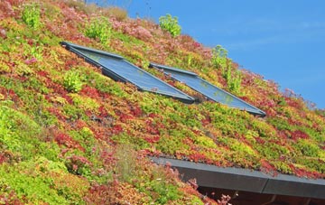 Bettisfield living roof systems